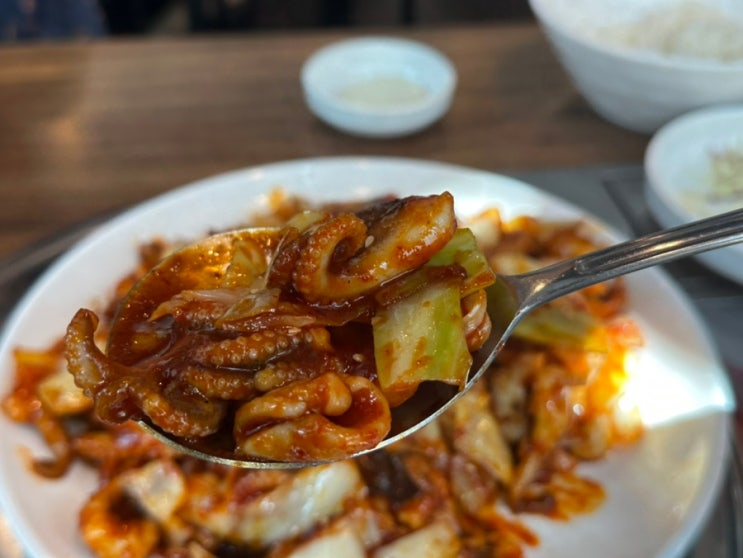  가디맛집 | 가디쭈꾸미 (꾸미)