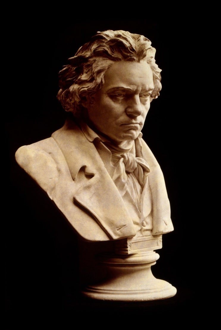 천재 작곡가 베토벤,그의 머리카락에서 사망원인을 밝혔다.