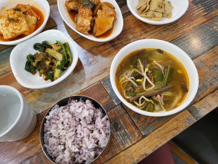 다사랑 진이네 사진 6