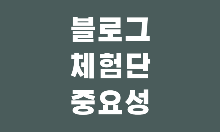  블로그체험단비용 200만원 넘게 써보고 날려본 후기