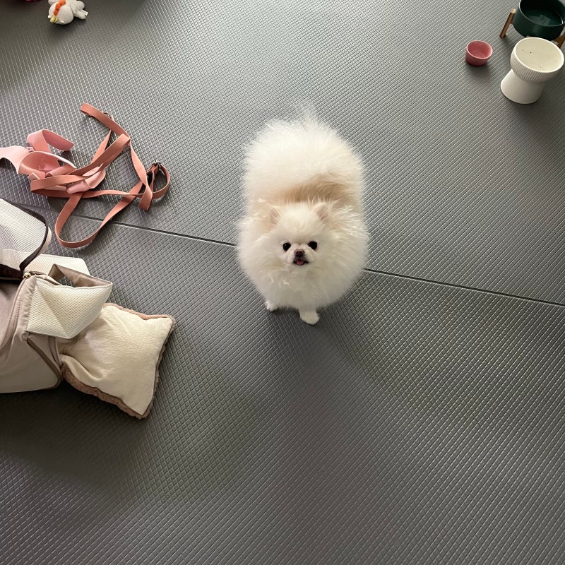 사진 10