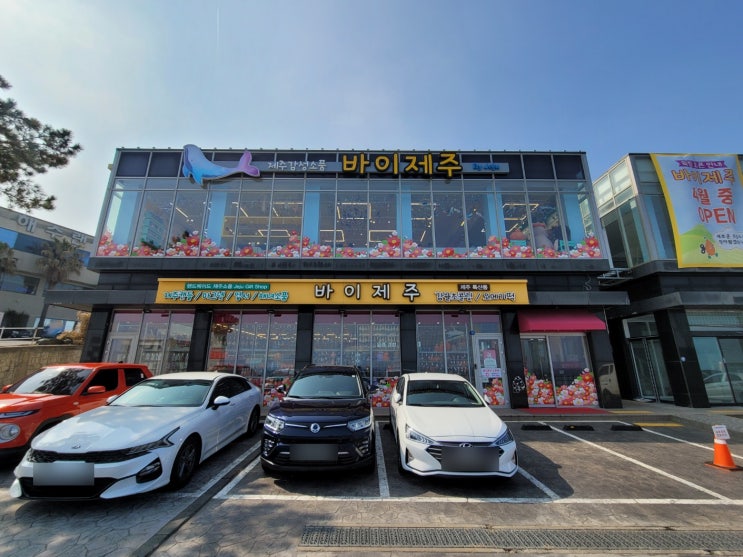  제주공항 근처 소품샵 제주 특산품 가득 바이제주