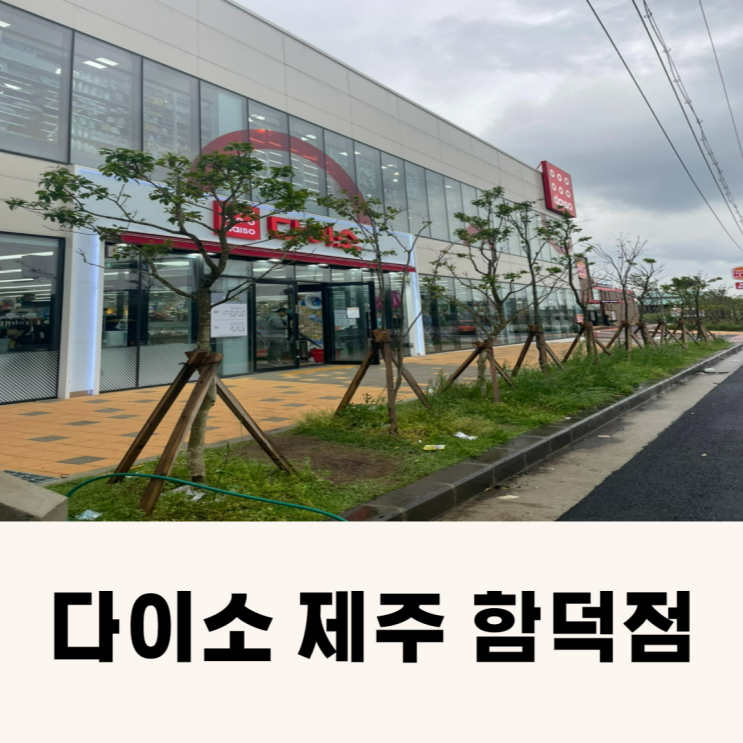  다이소 제주 함덕점 위치와 가는방법 (제주살이 준비물 구매)