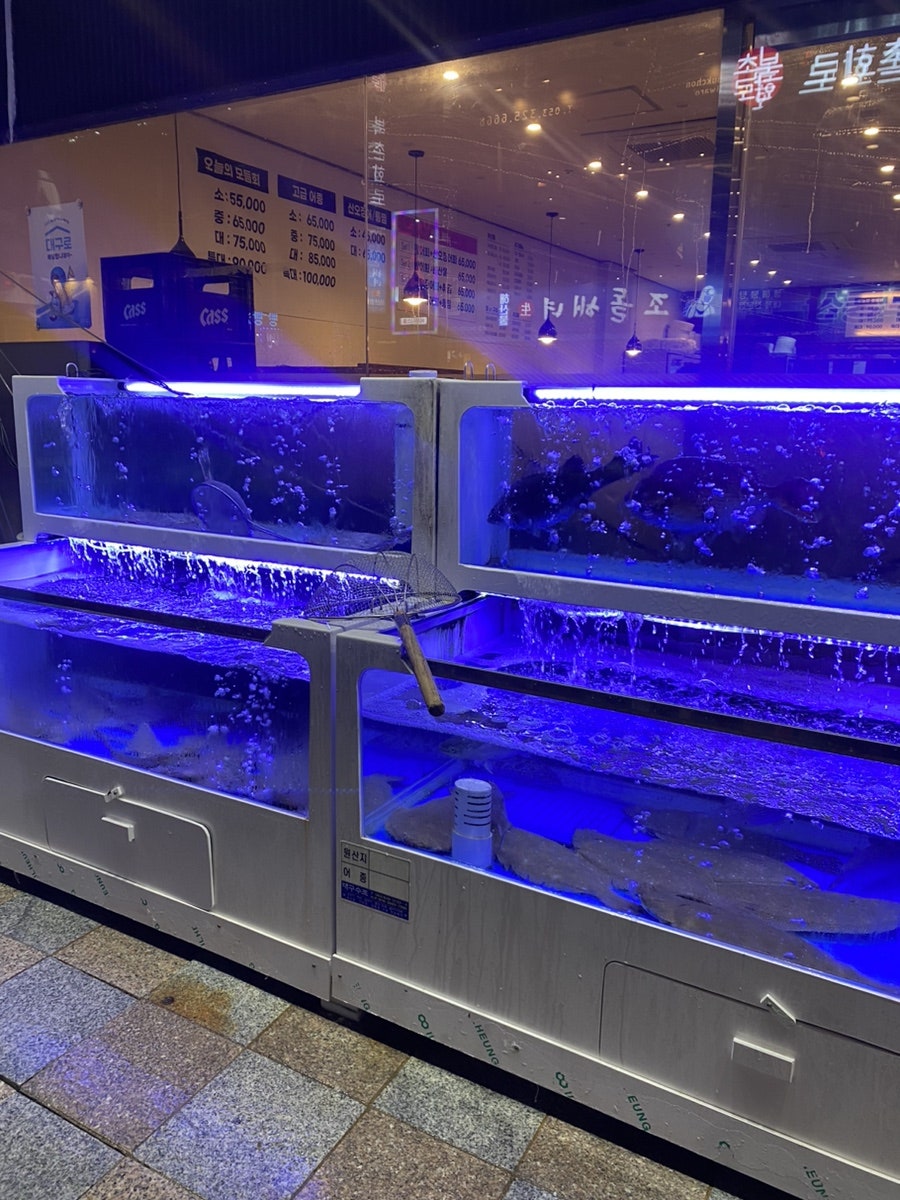 산오징어전문점 사진 2