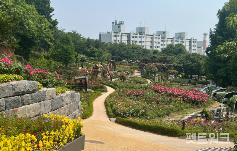 사진 4
