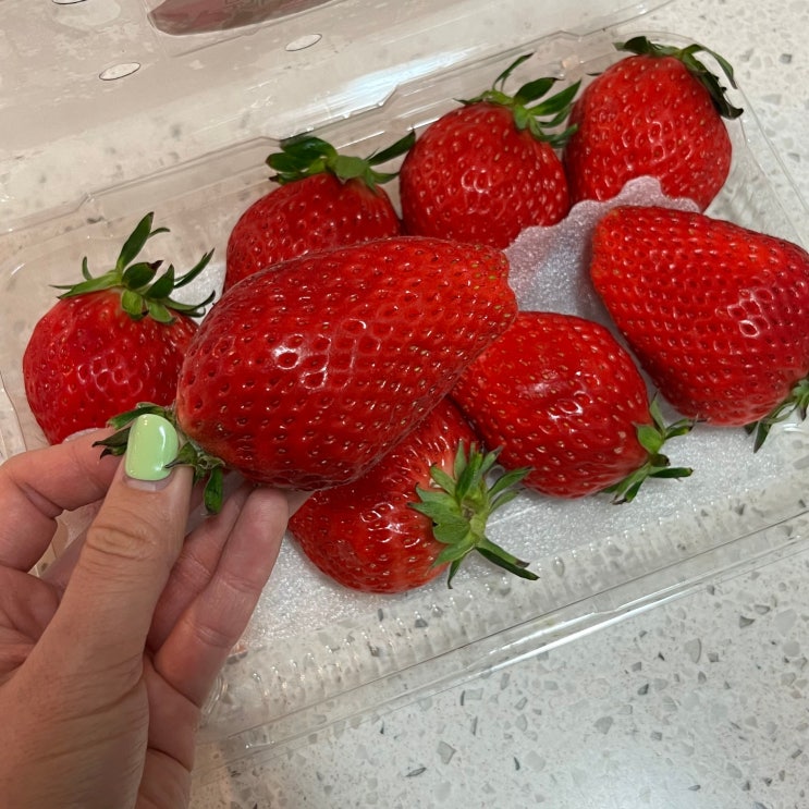  구미 농산물 도매시장 맛있는 과일 한가득