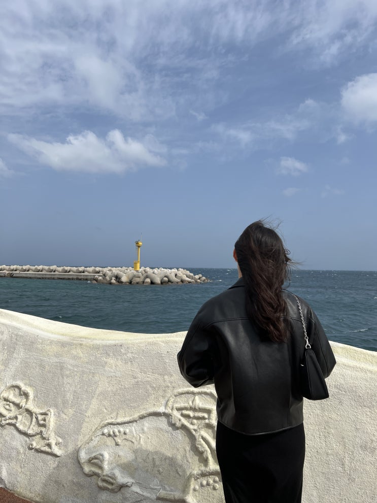  [2박 3일 제주 여행] 3일차: 고집돌우럭, 아베베 베이커리, 제주 공항 근처 카페 미르당, 제주 마음샌드