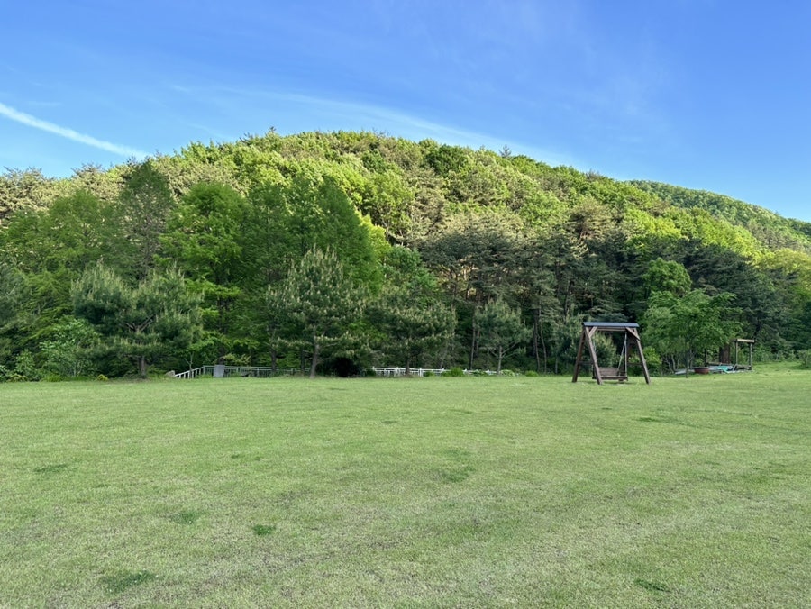 들풀미술학교 사진 4