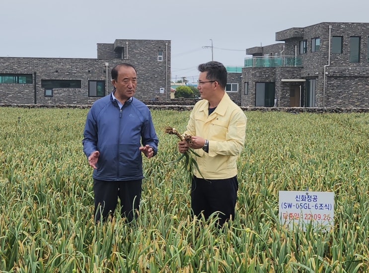 <b>제주</b>농협, 집중호우에 따른 농작물 <b>피해</b>점검 실시 [2023. 5. 5... 
