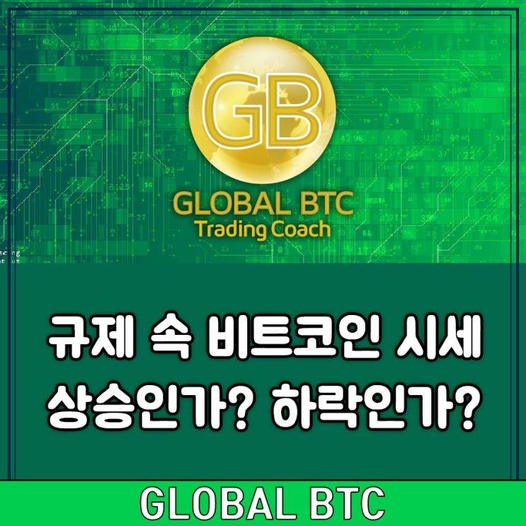  규제 속 비트코인 시세 상승인가? 하락인가?