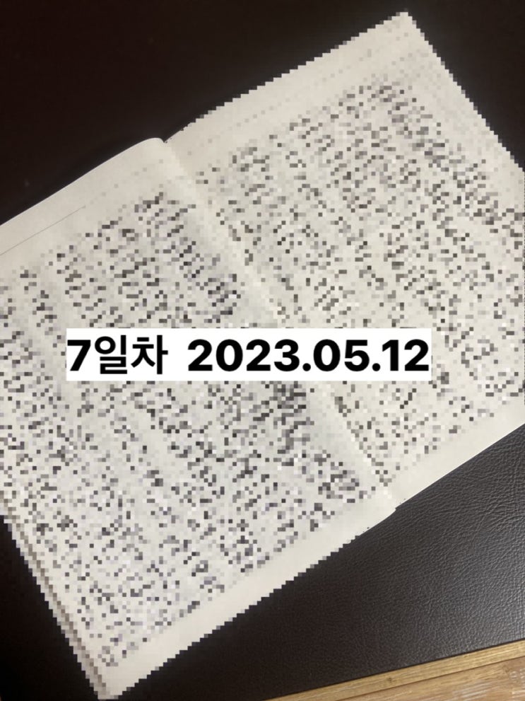  #7  _ 꿈자도 한다 100일노트