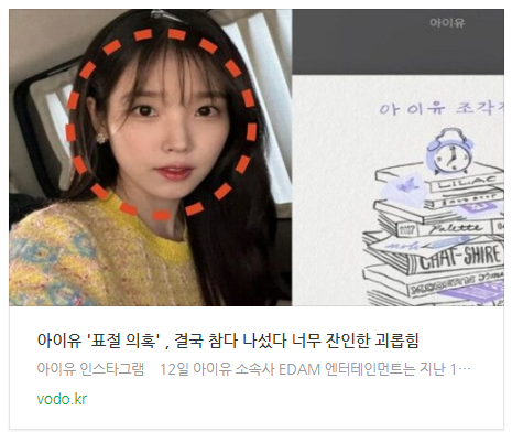 [오늘이슈] 아이유 '표절 의혹' , 결국 참다 나섰다 "너무 잔인한 괴롭힘"