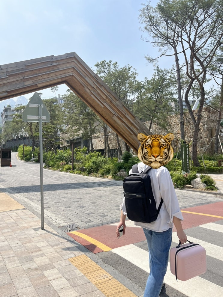  내 생일