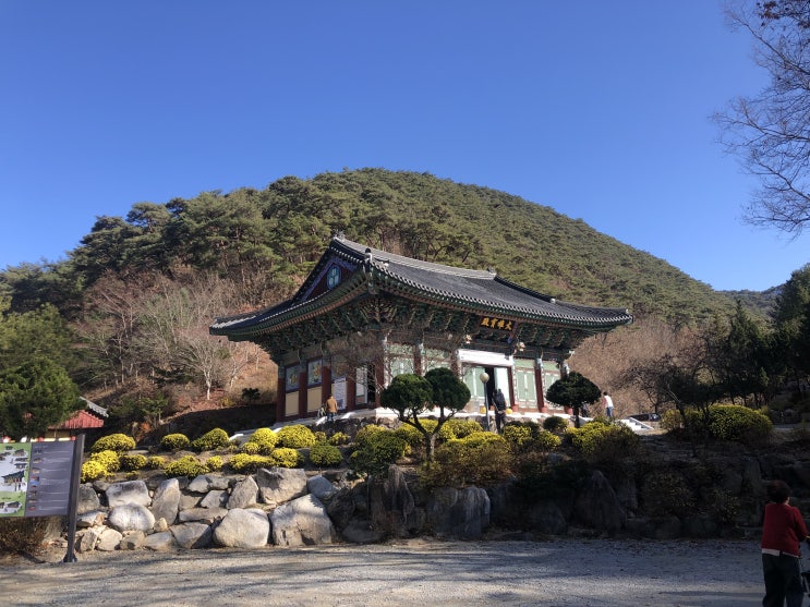  부처님 오신 날 의성 가볼 만한 절 고운사