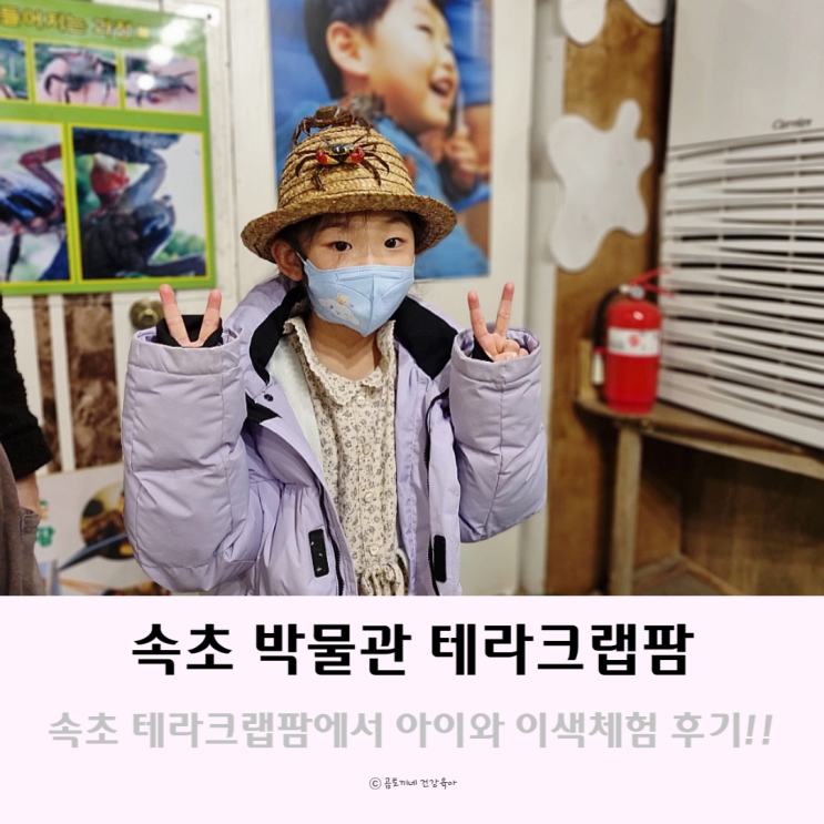 속초 박물관 : 테라크랩팜에서 아이랑 이색체험 후기 속초 박물관 : 테라크랩팜에서 아이랑 이색체험 후기