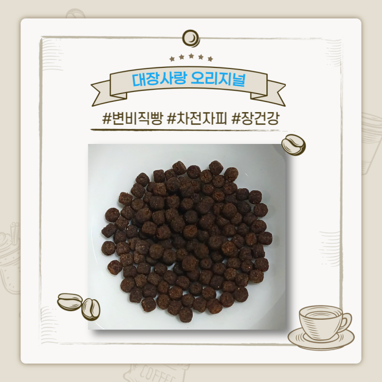  차전자피환 : 대장사랑 오리지널 특징 및 섭취방법 【#장건강 #변비직빵 #차전자피효능 #대장사랑후기】