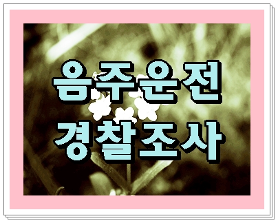  음주운전 경찰조사에 앞서