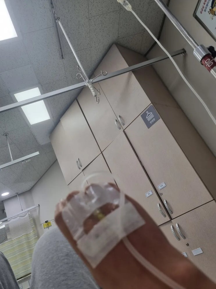  두드러기 알레르기증상 피부가려움 3일연속<사진 혐오주의>
