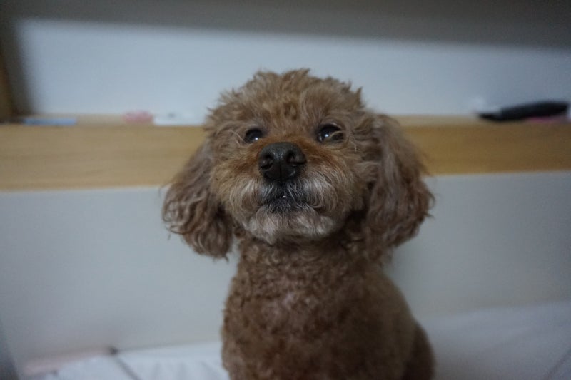 사진 3