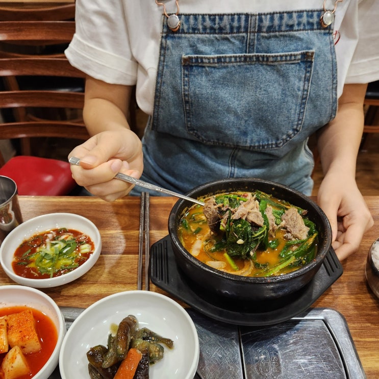 대전 염소탕 둔산동 보생옥 보양식 먹고왔어요
