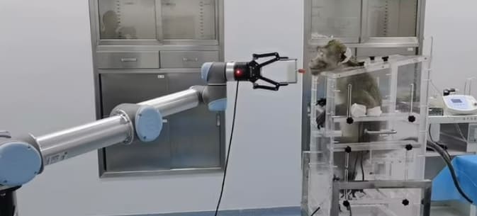원숭이 뇌에 칩이식으로 로봇 팔 조종 가능 VIDEO: Chinese researchers claim brain-computer interface..
