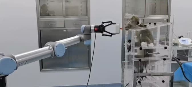  원숭이 뇌에 칩이식으로 로봇 팔 조종 가능 VIDEO: Chinese researchers claim brain-computer interface..
