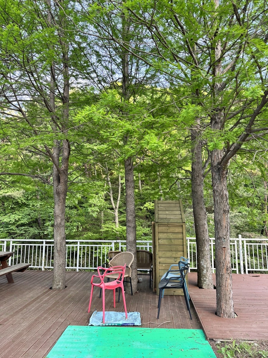 들풀미술학교 사진 6