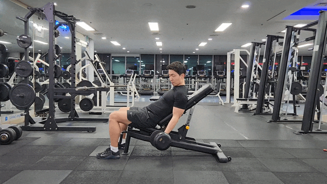  인클라인 덤벨컬로 상완이두근 장두 발달시키는 방법