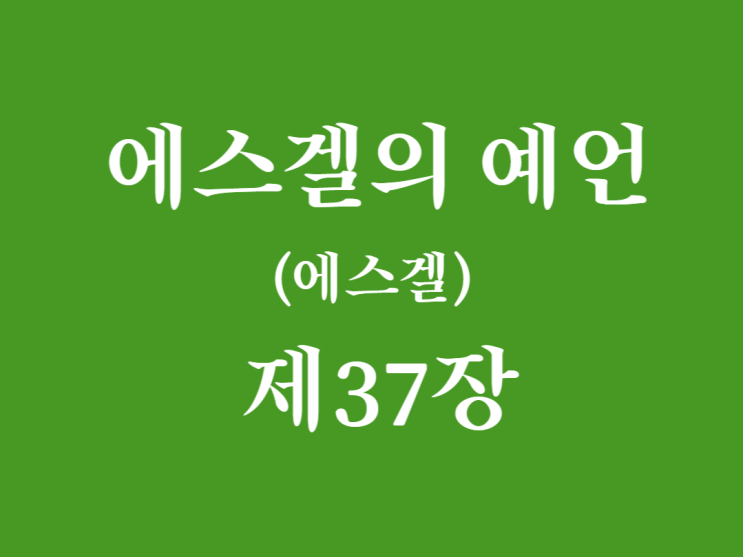 에스겔의 예언(에스겔) 37장 에스겔의 예언(에스겔) 37장