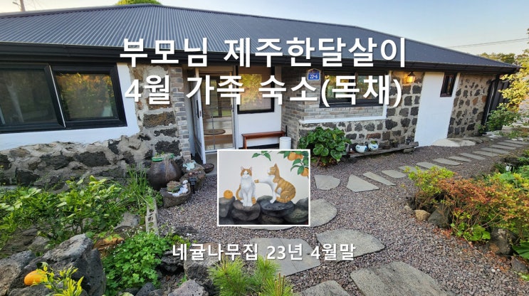 부모님 제주한달살이숙소, 가족을 위한 4월 독채 숙소 부모님 제주한달살이숙소, 가족을 위한 4월 독채 숙소