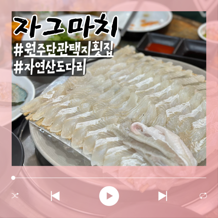  자연산 도다리 원주 단관택지 맛집 자그마치