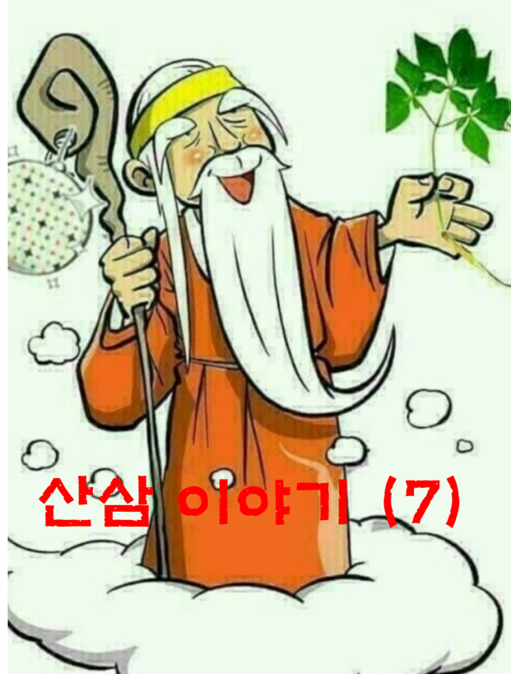  산삼 이야기 7