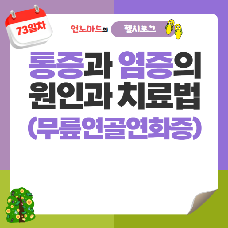  73일차, 통증과 염증의 원인과 치료법 (with 무릎연골연화증)