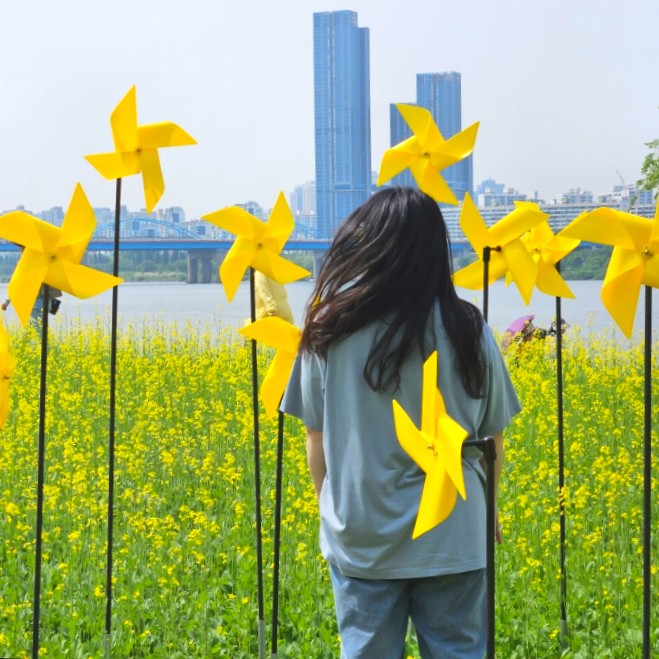 반포 한강공원 2023 한강 서래섬 유채꽃 축제 유채찬란 서울 꽃구경