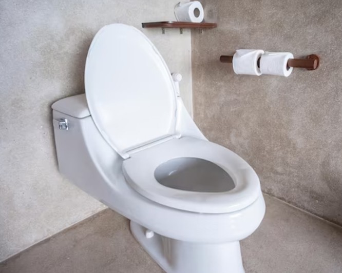 창원 화장실 변기 하수구에서 올라오는 악취 원인 및 해결 방법