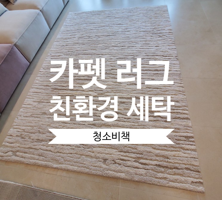 [인천/김포] 카페트 러그 세탁 강아지 소변 - 청소비책