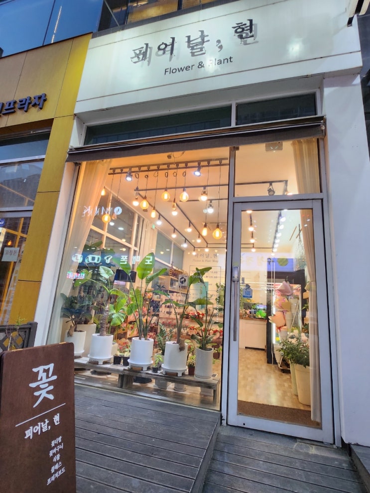  오산 피어날,현 에서 개업축하 화분 선물하기!