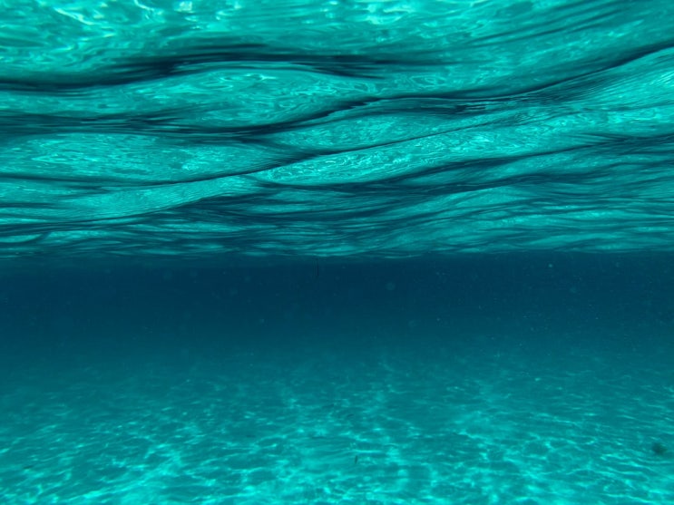 Going Beneath the Surface of the Mind 표면 마음 아래로 내려가기 Going Beneath the Surface of the Mind 표면 마음 아래로 내려가기
