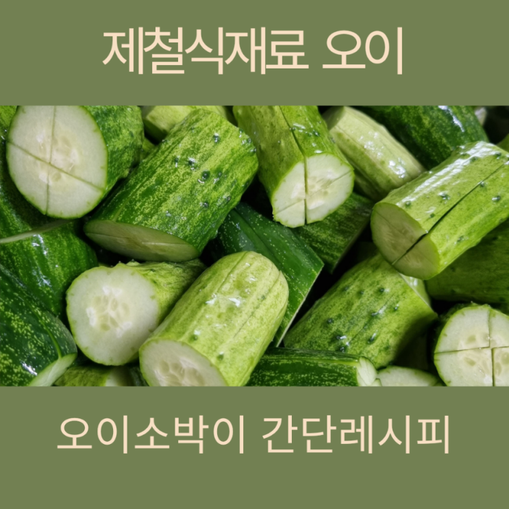  제절식재료 오이 간단한 오이소박이 레시피