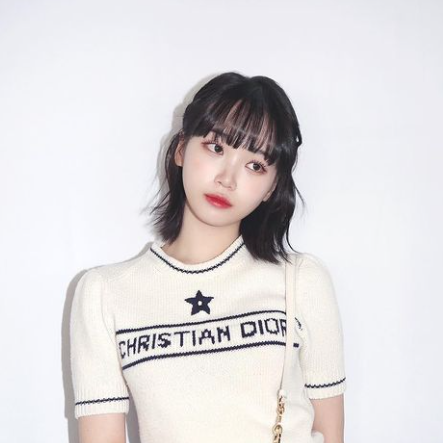  봄과 여름에 딱인 여성 명품 브랜드 디올 반팔 니트 코디 추천