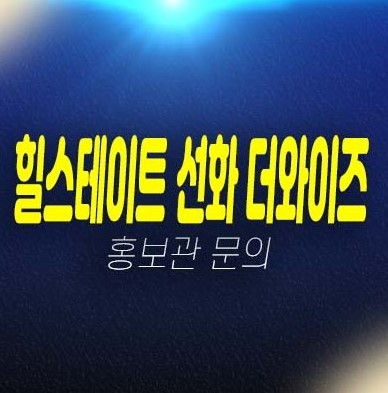 힐스테이트 선화 더와이즈 대전 선화동 미분양아파트 현대건설 신축공사 평형대 주택담보대출,생애최초,무주택자 주택전시관 현장안내