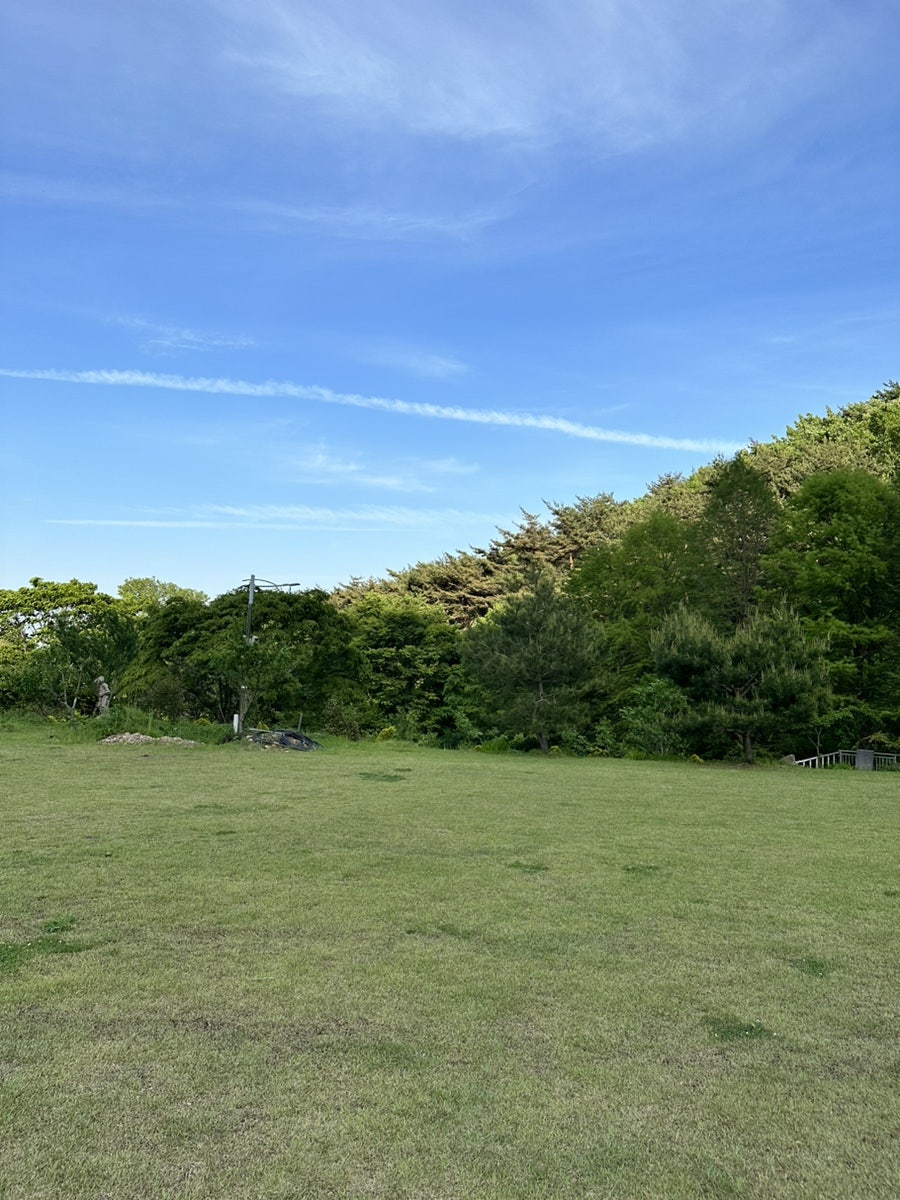 들풀미술학교 사진 3