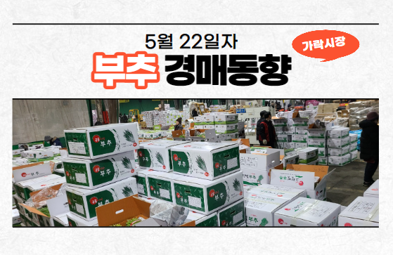  [경매사 일일보고] 5월 22일자 가락시장 부추 경매동향을 살펴보겠습니다!