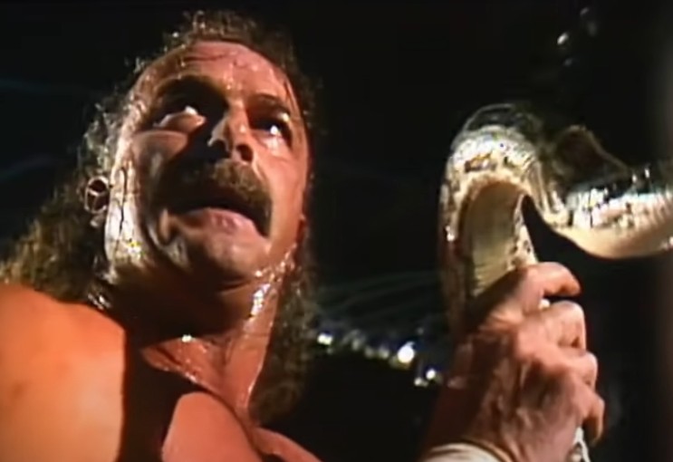7080 열광했던 WWF 프로레슬링의 영웅들 제이크 더 스네이크 로버츠의 생애