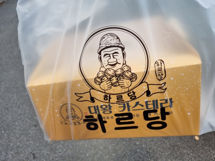  대전 하르당 용문역점 대왕카스테라