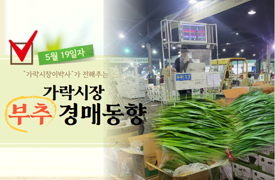  [경매사 일일보고] 5월 19일자 가락시장 부추 경매동향을 살펴보겠습니다!