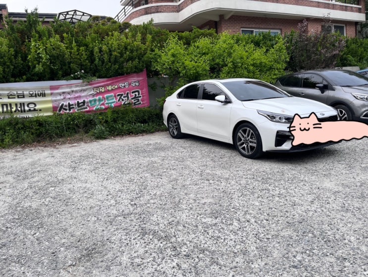 [대전로컬맛집] [전민동 만두전골] 우리메밀촌 만두피 없는 동글동글 만두 샤브샤브손만두전골 맛있네요
