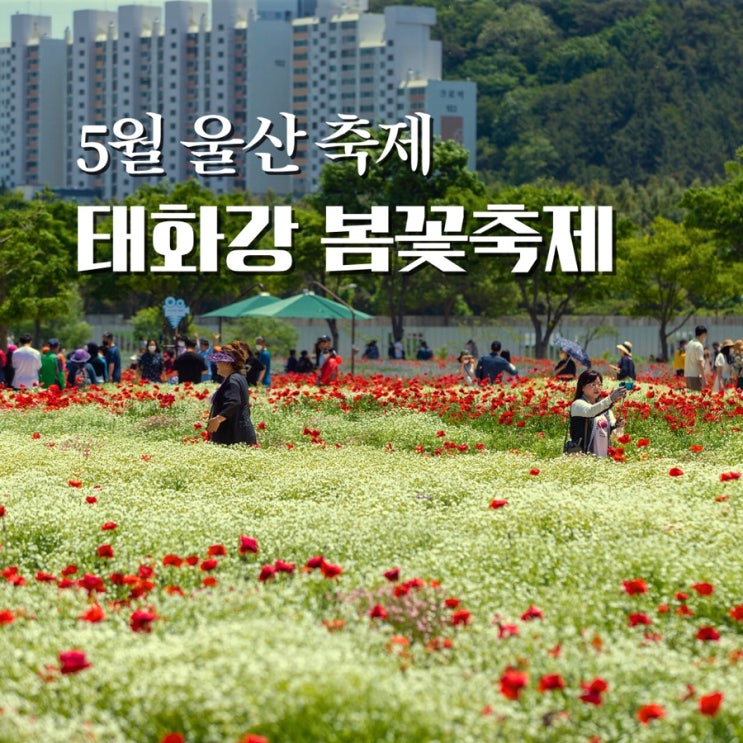 2023 태화강 국가정원 봄꽃축제 봄꽃대향연 (울산) 대나무숲 드론쇼 작약 보러 가요