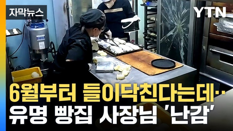 내년 절정에 이르면...암울한 전망 내년 절정에 이르면...암울한 전망