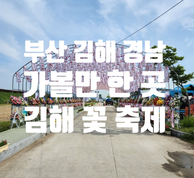 김해꽃축제 대동생태공원 정말 예뻐요 부산 김해 창원 경남 가볼만한 곳 5월꽃여행 김해꽃축제 대동생태공원 정말 예뻐요 부산 김해 창원 경남 가볼만한 곳 5월꽃여행